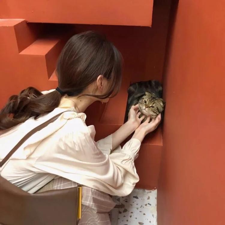神谷熏（身份：神谷活心流代理师父、女主角） - 辣舞影视网址在线观看21 - 云端观影